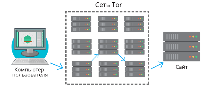 Принцип работы сети Tor